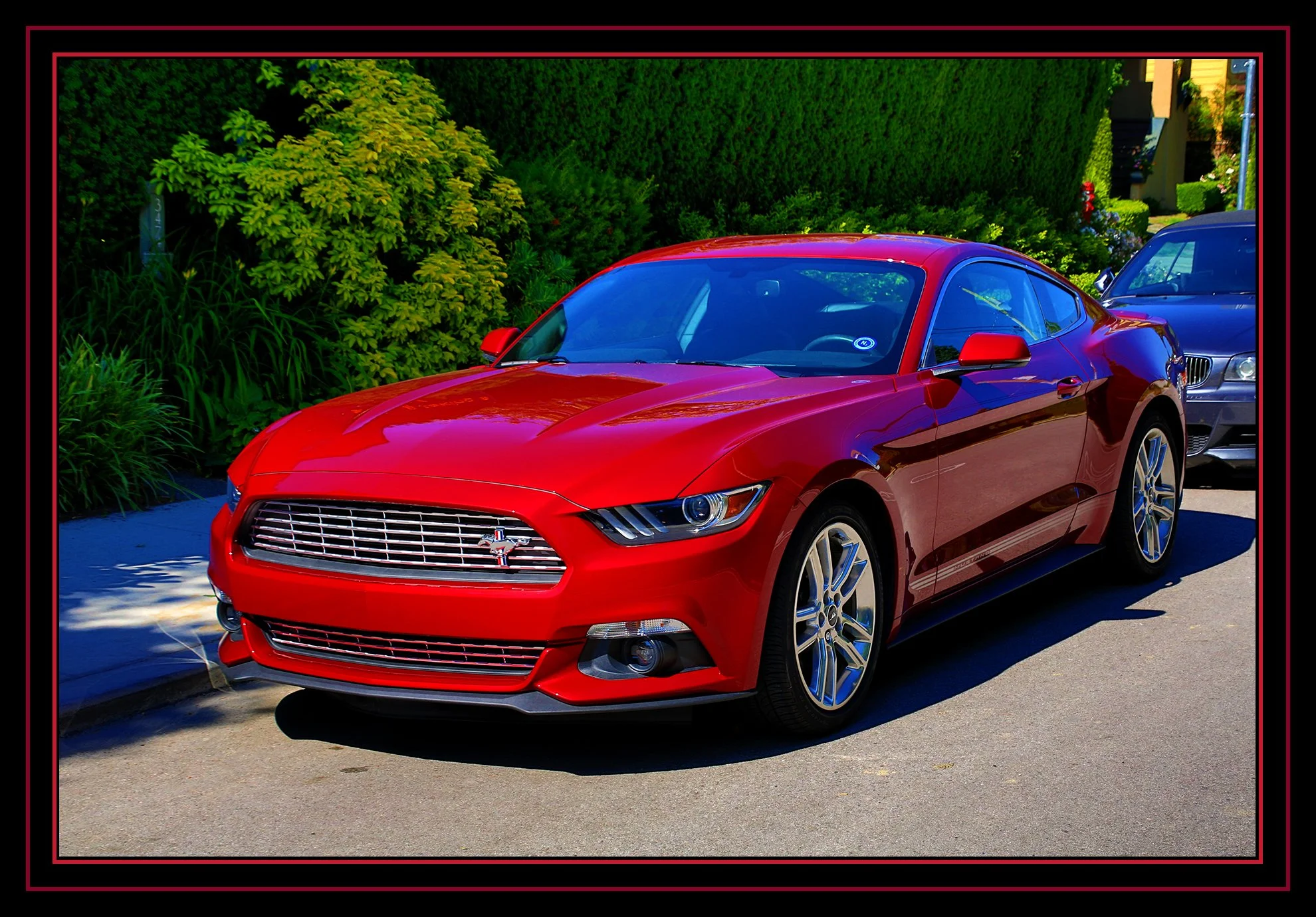 Mustang Point Grey_July 1_2019_HDR_A6739_peExpMrg_4x6s.jpg