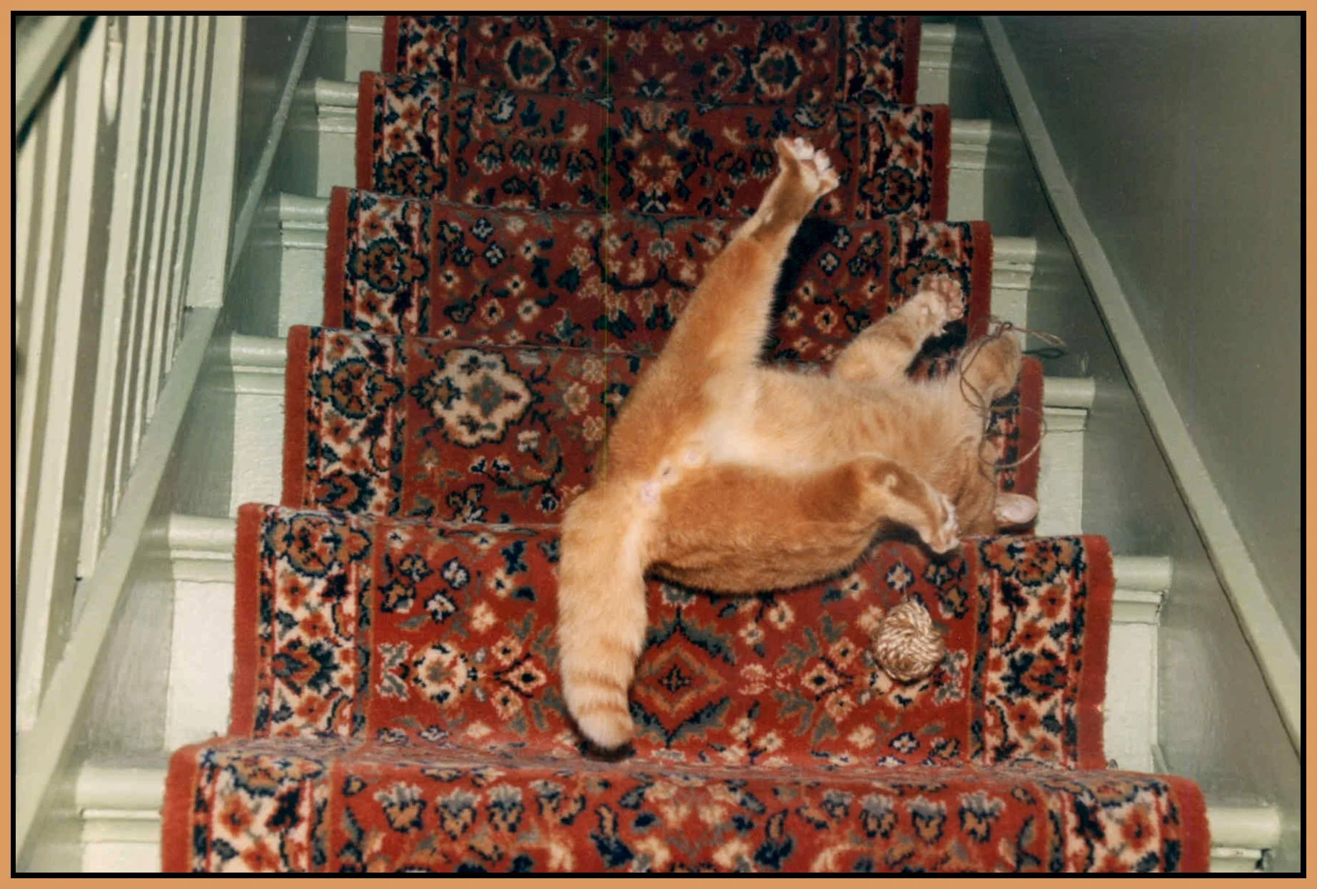 Maximum_1989_0010_4x6s.jpg