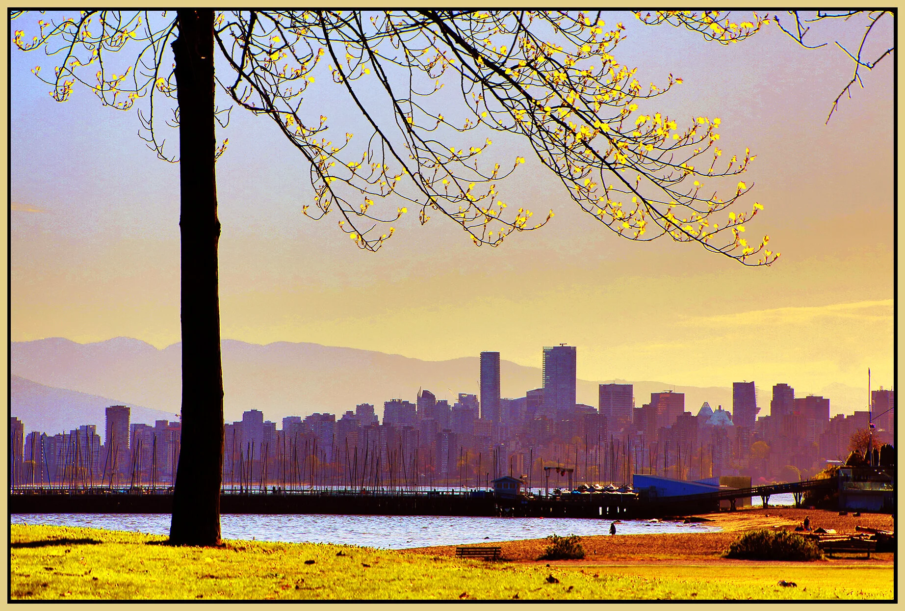 Jericho Beach Tree_Apr 22_2021_HDR_4G7724_peVibrClrs_EnhanSunst_4x6s.jpg