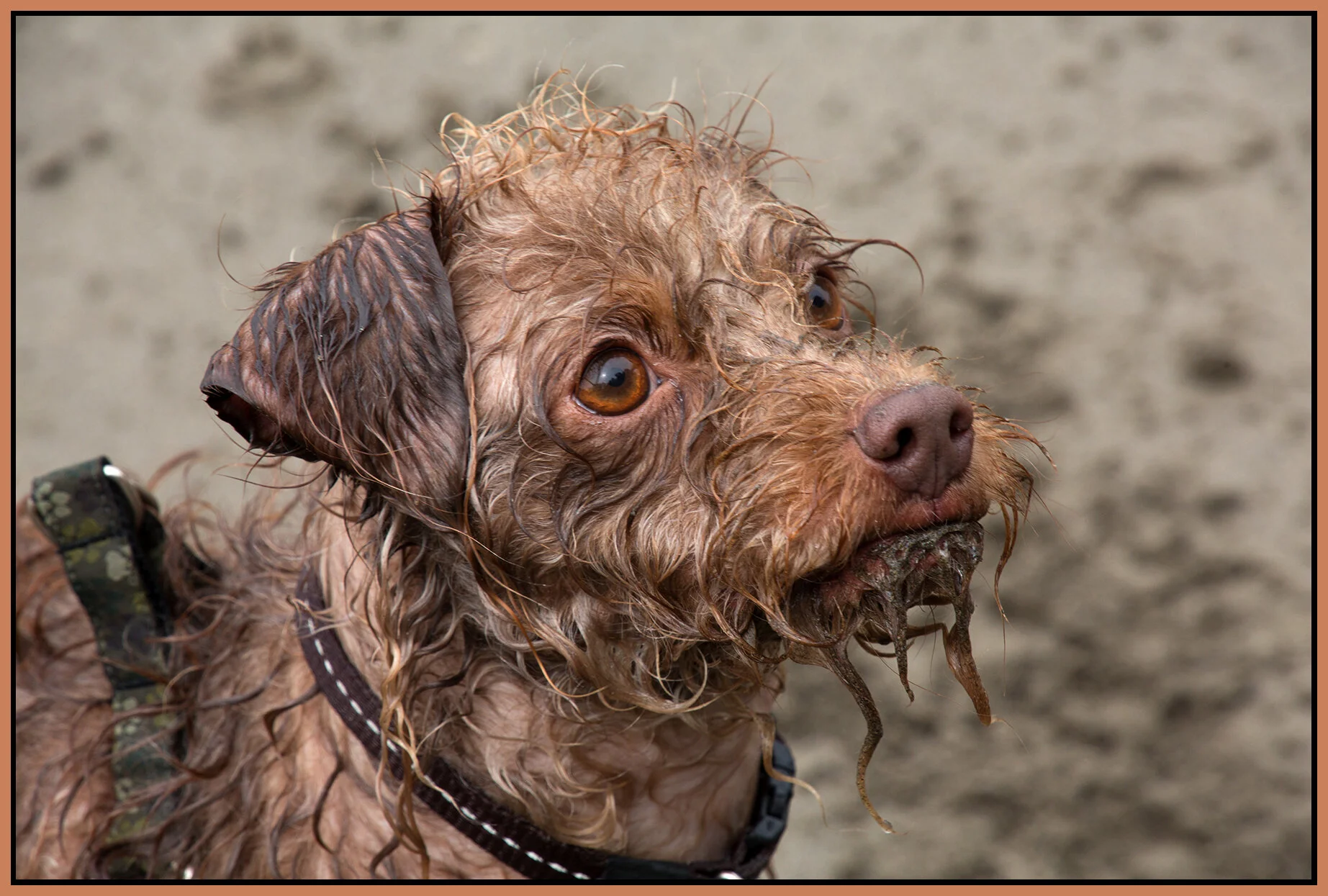 Frances at Brownsville Pk_May 9_2017_L4274_4x6s.jpg