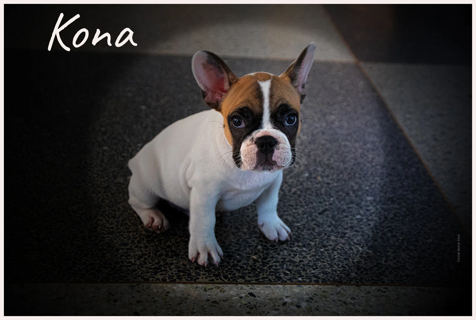 Kona_Sep 11_2021_CR2_5A2237_peIntnSDet_2_4x6s.jpg