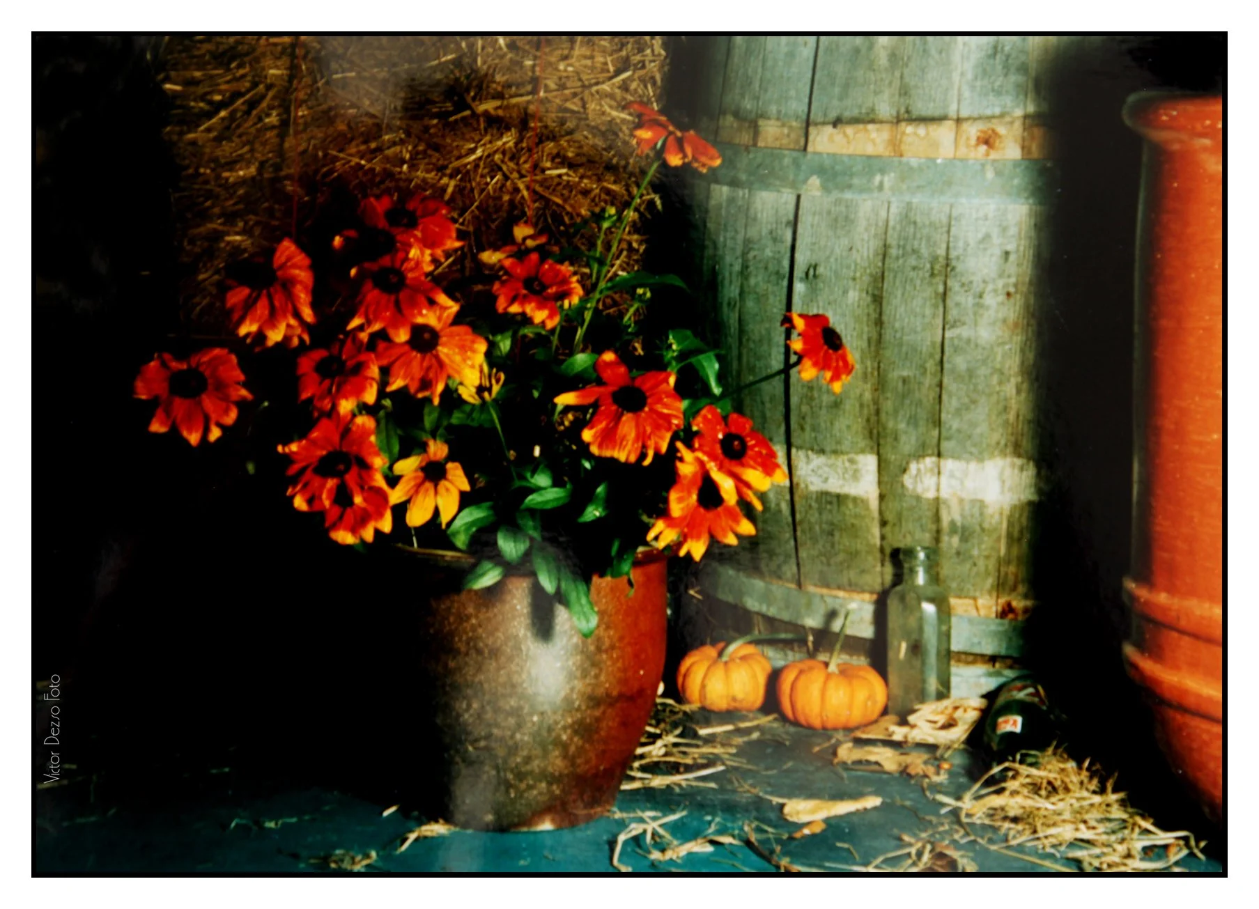 Flowers 1990's_6129_4x6.jpg