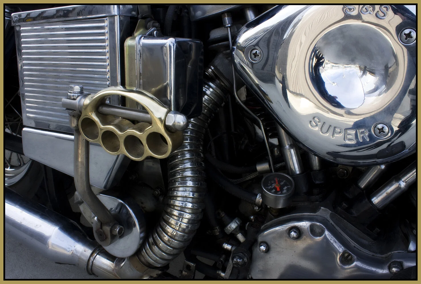 Harley_Oct 26_08_7487v_4x6s.jpg