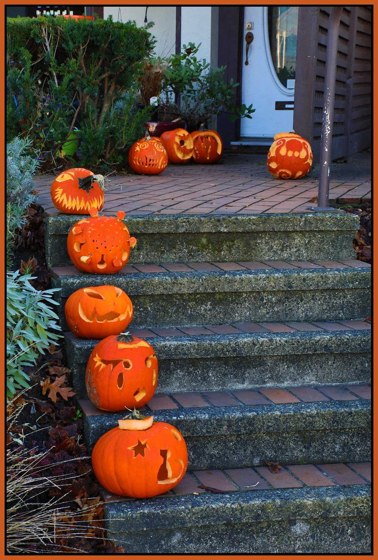 Pumpkin_Oct 31_2021_HDR_4G4490_4x6s.jpg