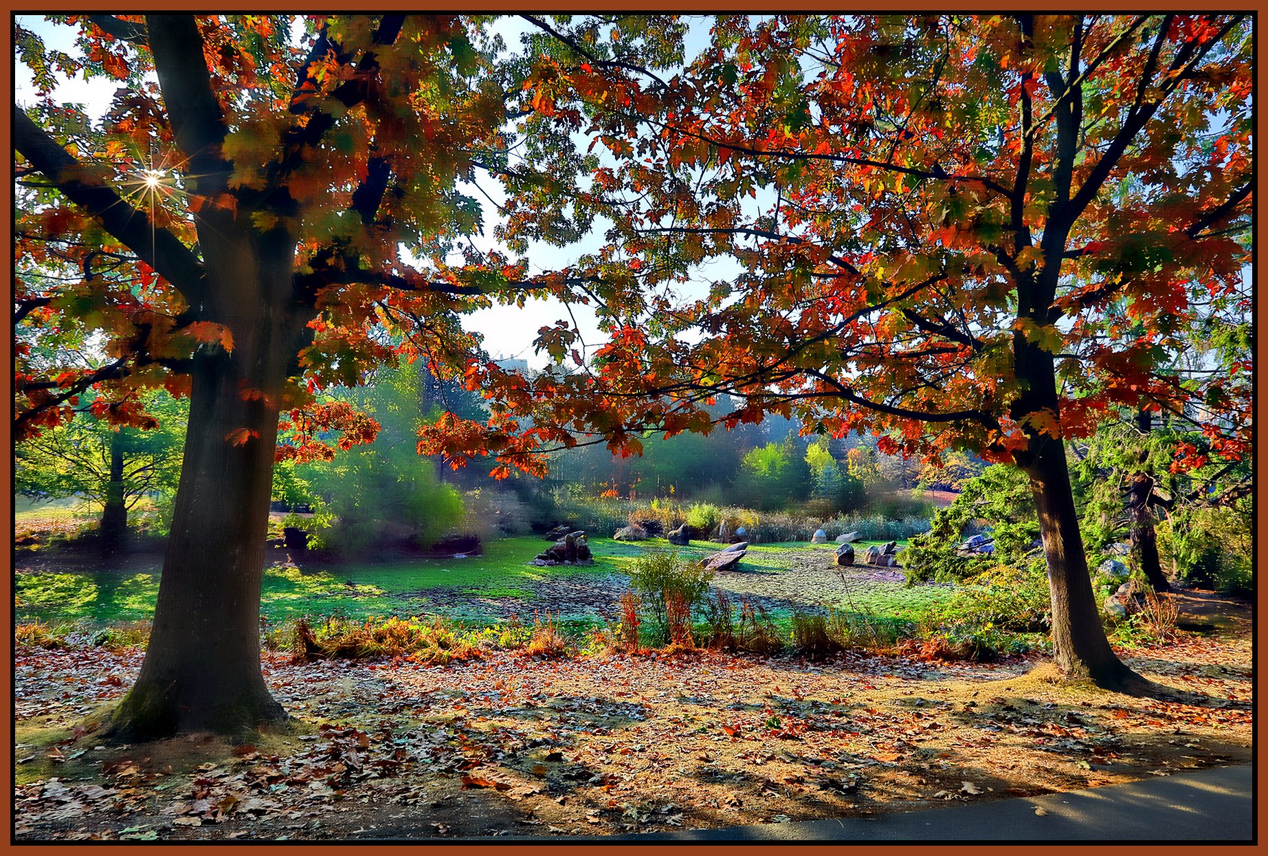 Charleson Pk Trees_Oct 19_2022_HDR_5C3946_peHdr2013_1_4x6s.jpg