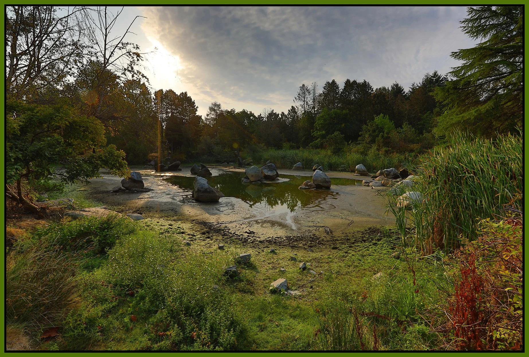 Charleson Pk Pond_Sep 14_2022_HDR_5B8823_4x6s.jpg