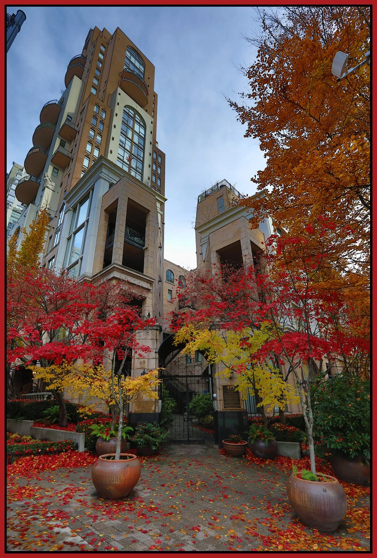 499 Drake St Trees_Nov 25_2022_HDR_5C7971_4x6s.jpg