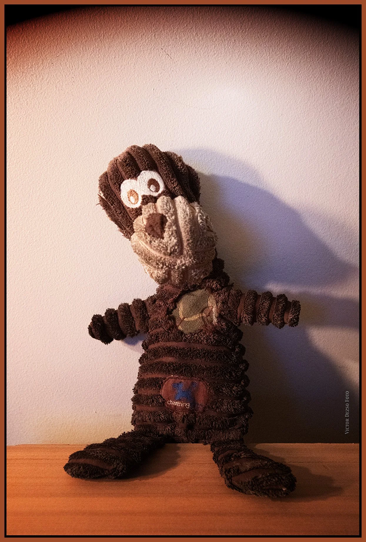 Monkey_Feb 6_2025_CR2_5E9327_peShrpfctBtnd_4x6s.jpg