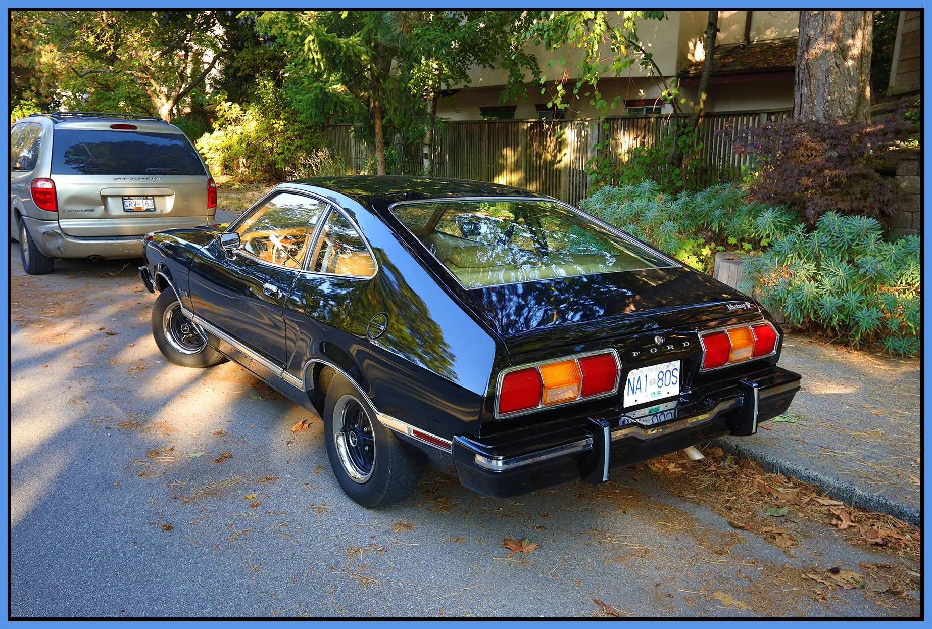 Ford Mustang 1978_Oct 14_2022_HDR_5C3044_4x6s.jpg