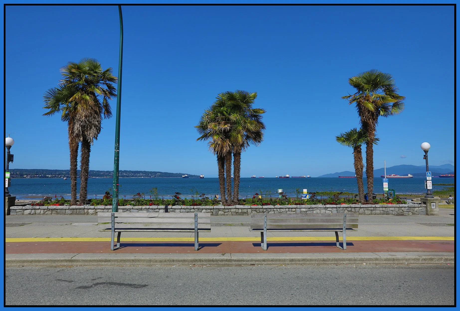 English Bay Palms_Jul 4_2024_HDR_5E6020_4x6s.jpg