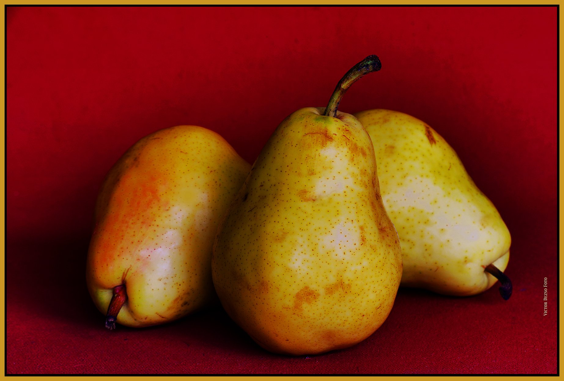 3 Pears_Aug 7_2025_HDR_4H0118_peEWGT_OvrlayDuotone_4x6s.jpg