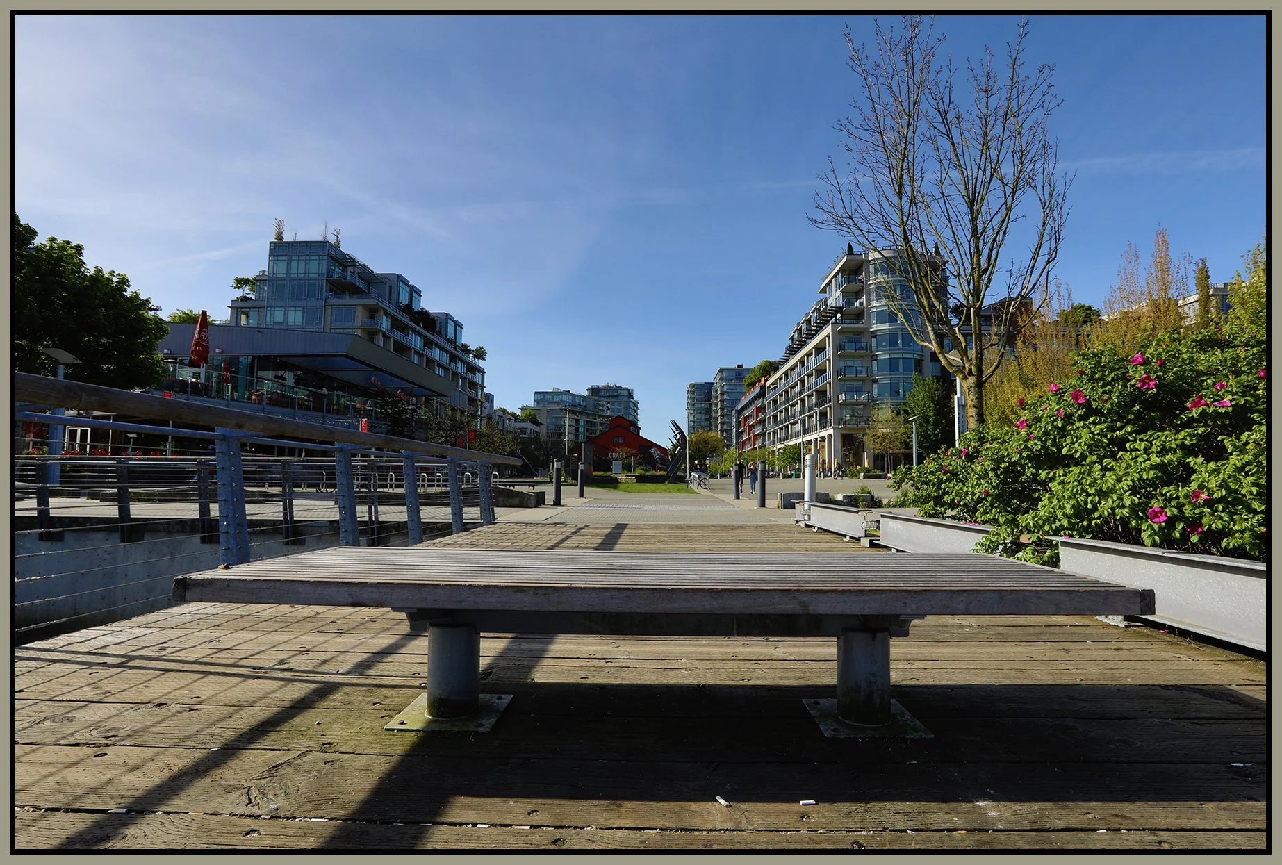 Bench at 3.7 View LkgS Vancouver_May 6_2019_HDR_E8432_4x6s.jpg