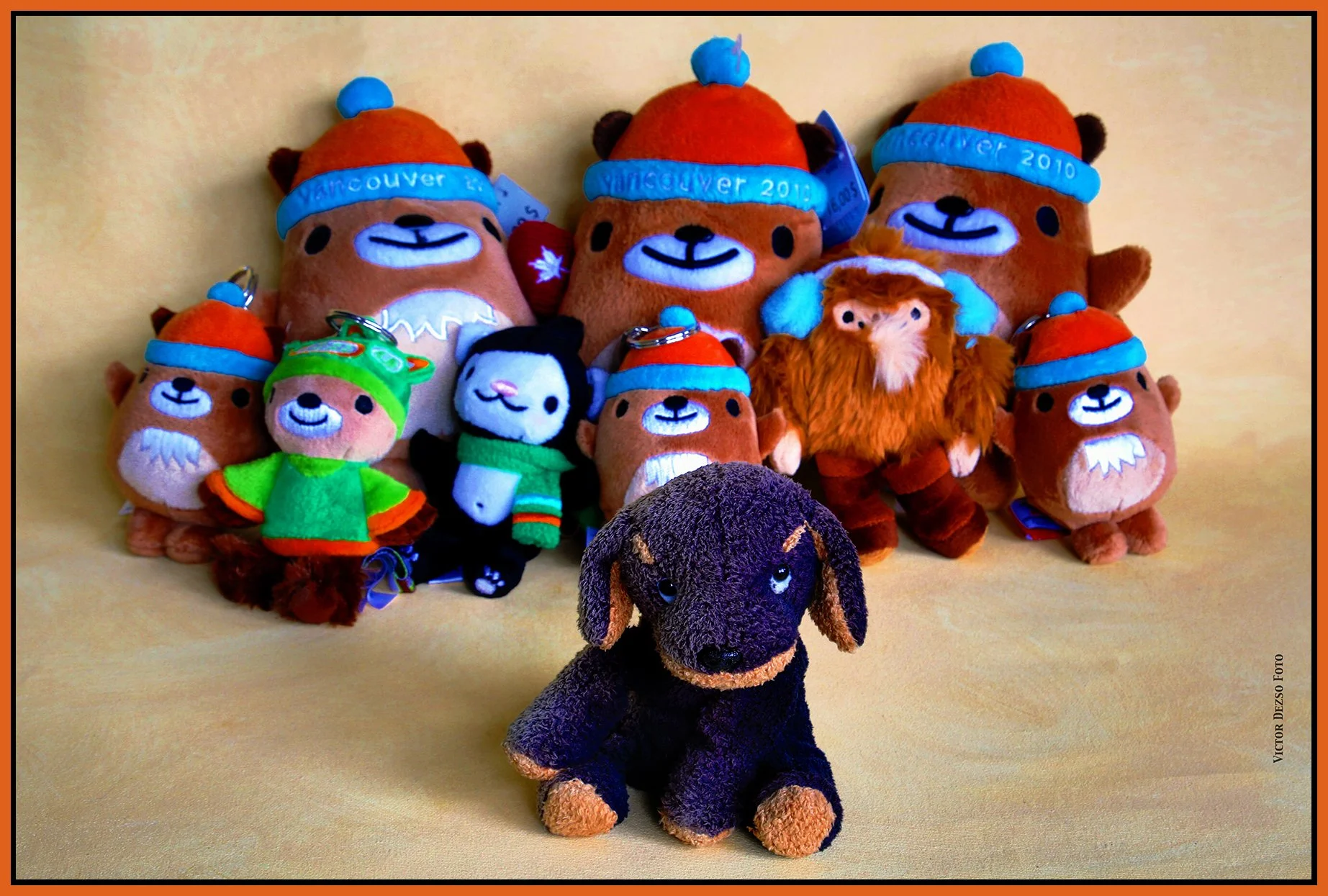 Puppy & Tykes_Dec 13_2024_HDR_3B9597_peHyprstrip_Pop_4x6s.jpg