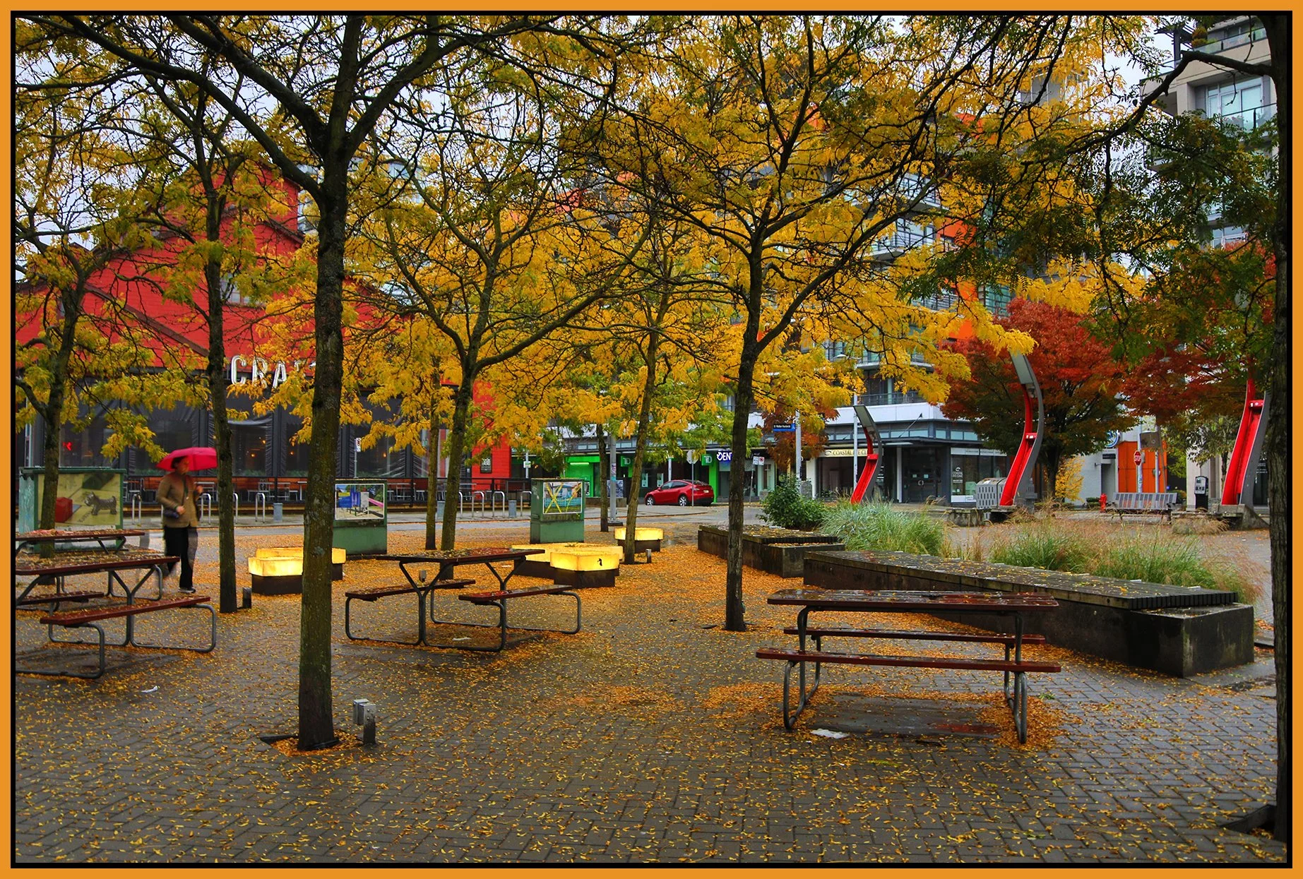 The Village Trees_Oct 14_2024_HDR_4J4356_4x6s.jpg