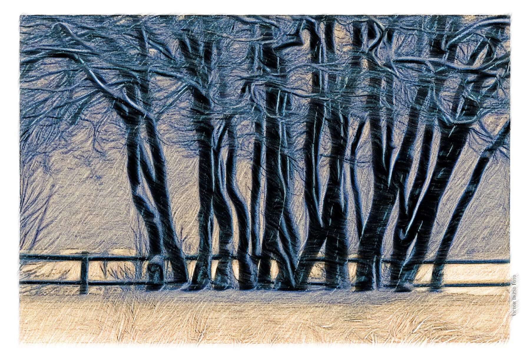 SnowTreesKits_8a_2_peSOH_4x6s.jpg