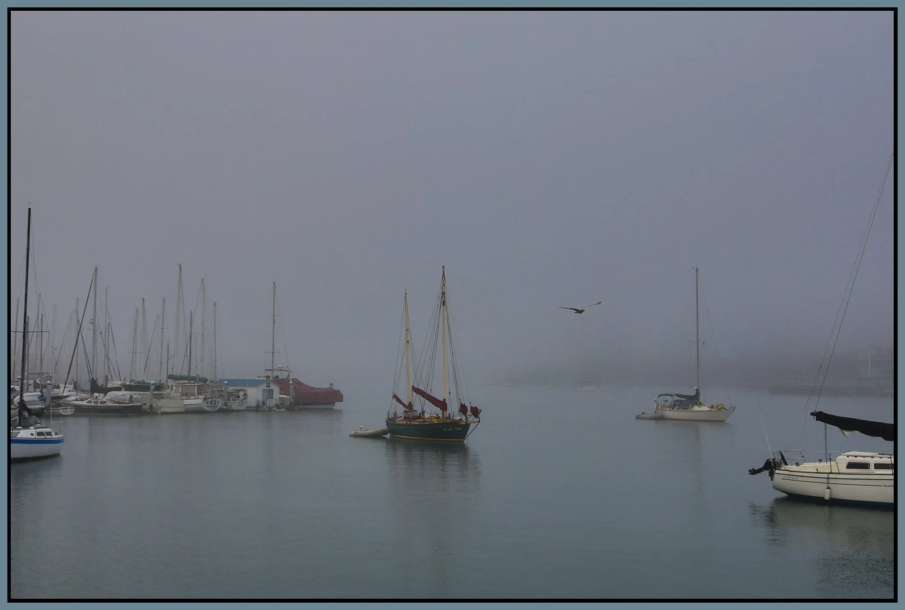 False Creek Fog_Nov 26_2023_HDR_4H9220_4x6s.jpg