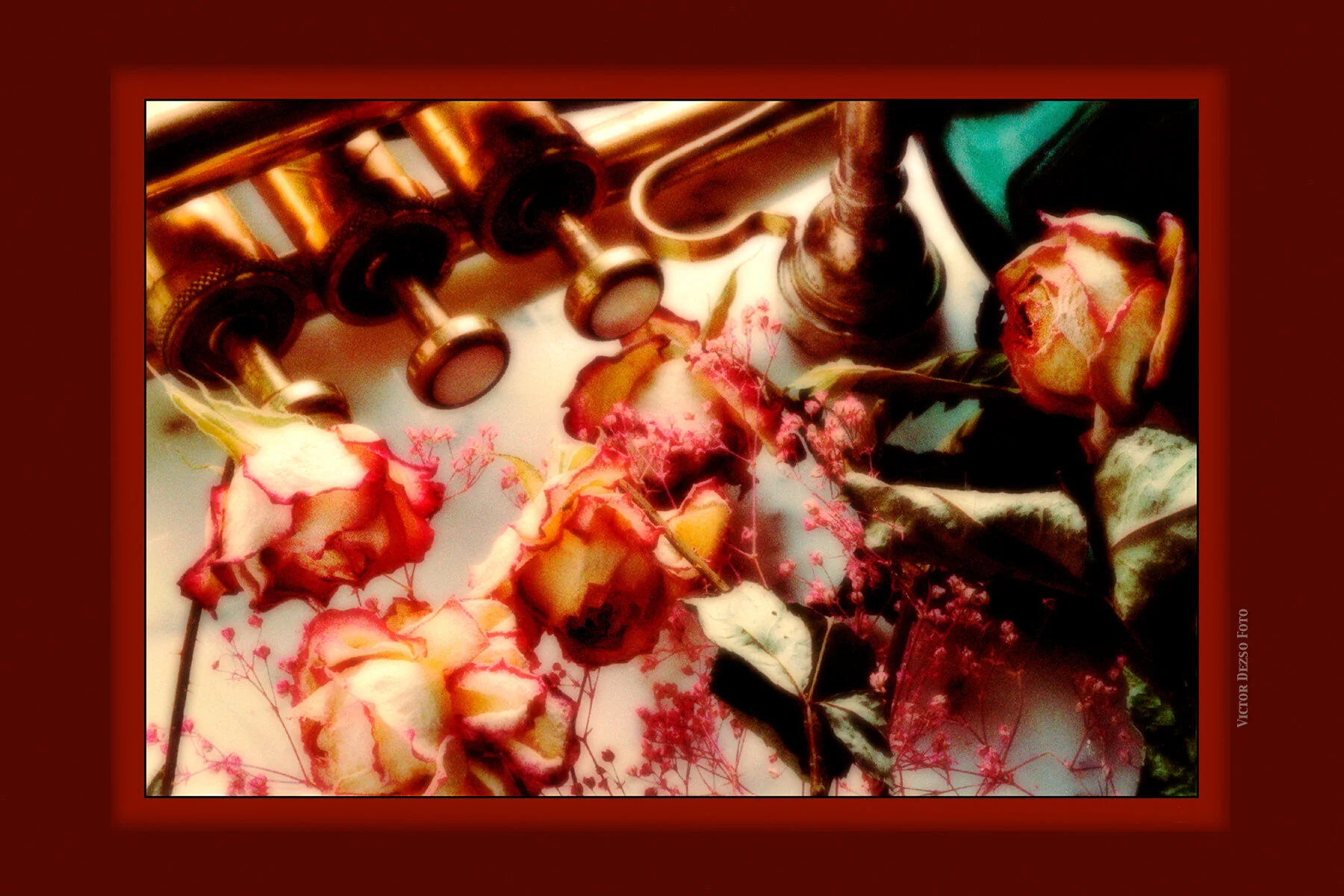 Trumpet & Roses_5_4x6_1s.jpg