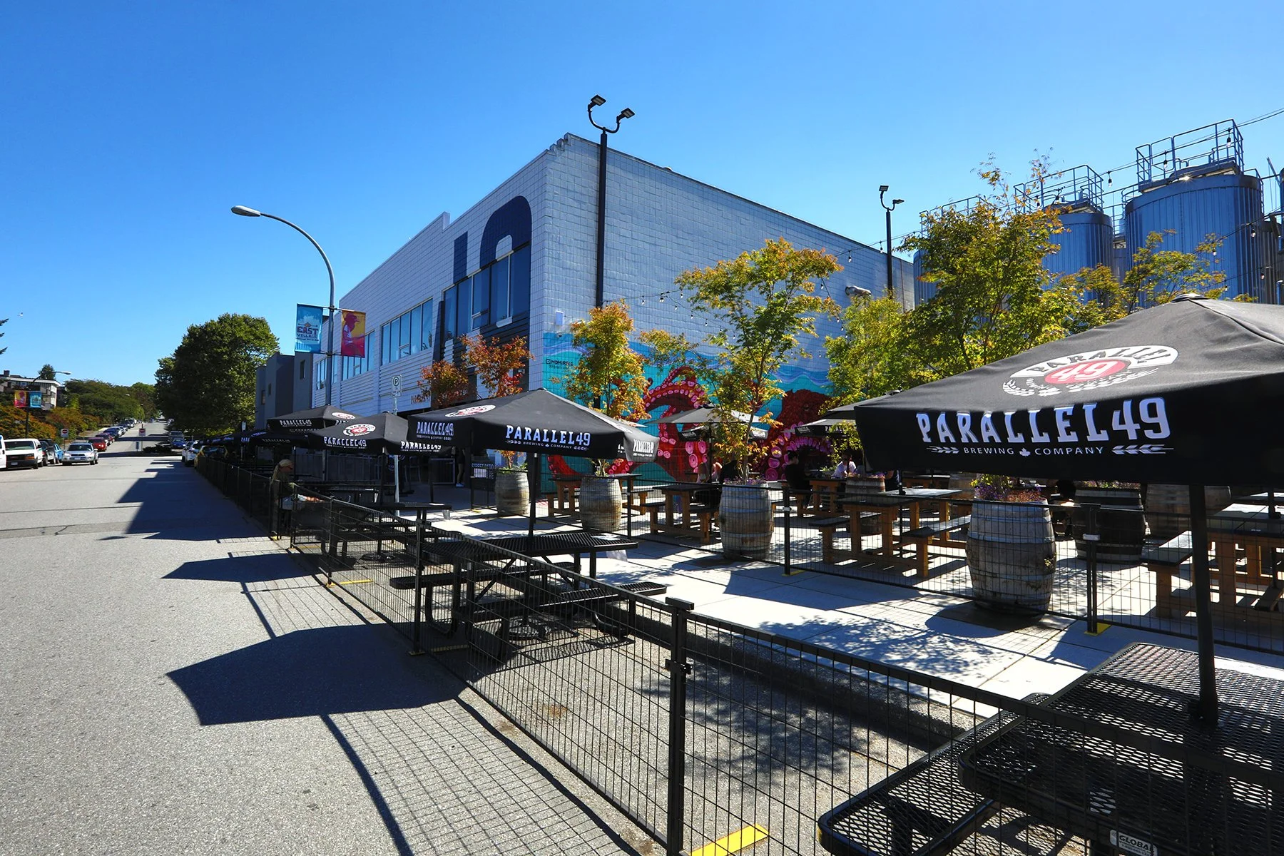 1940 Triumph Mural_Sep 1_2021_HDR_5A1241_4x6.jpg