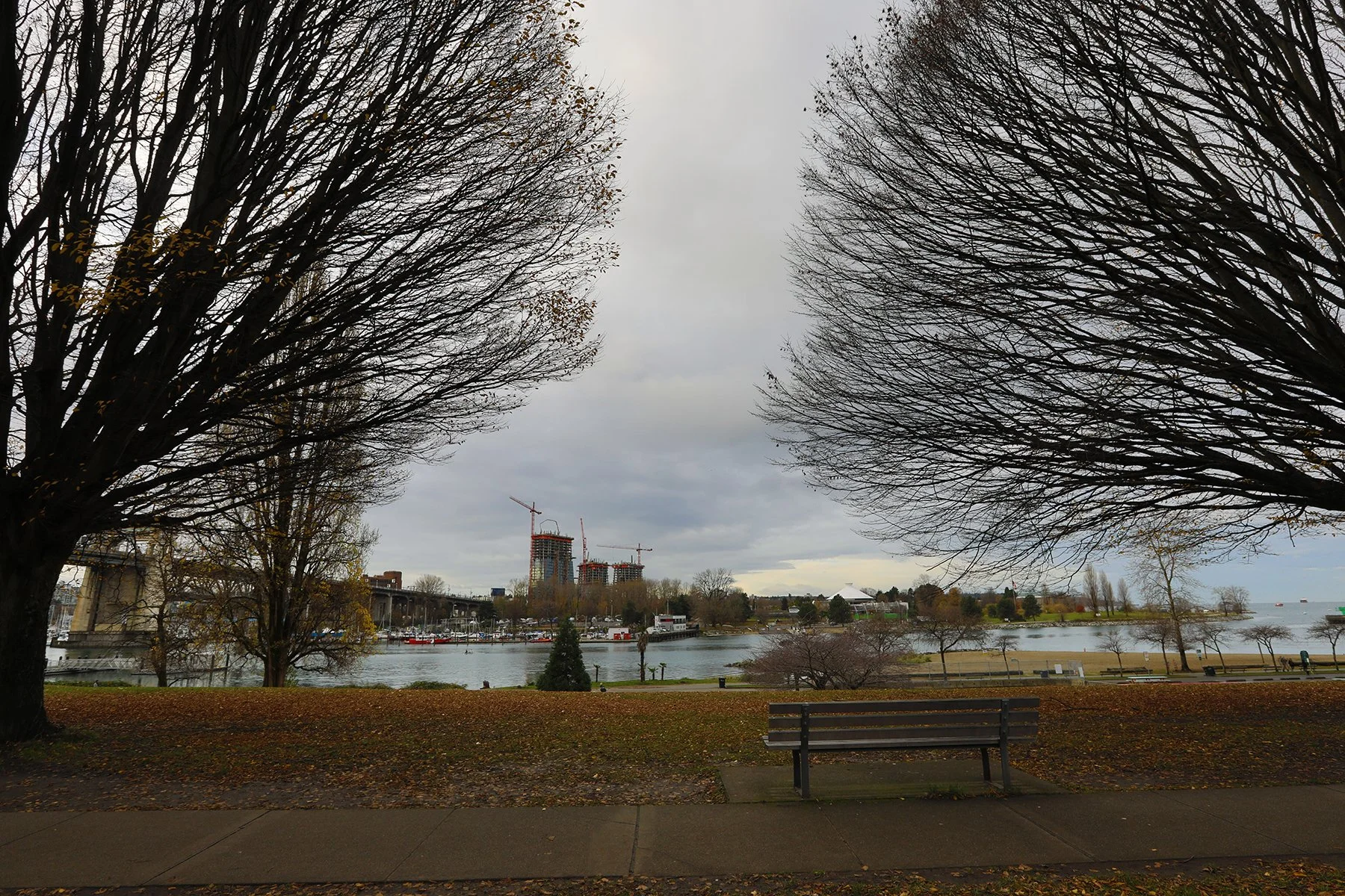 Senakwa from Beach Ave_Nov 23_2024_HDR_5E5528_4x6.jpg