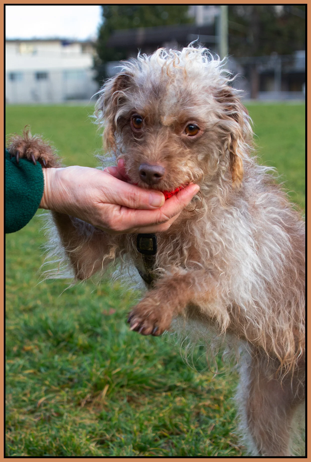Frances & Barbara in New West_Nov 24_2019_CR2_F4978_4x6_1s.jpg