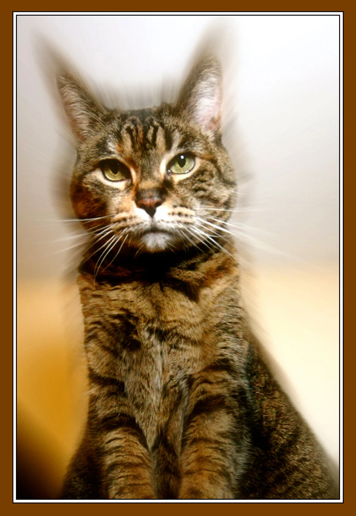 Squishy_0197_4a_4x6s.jpg