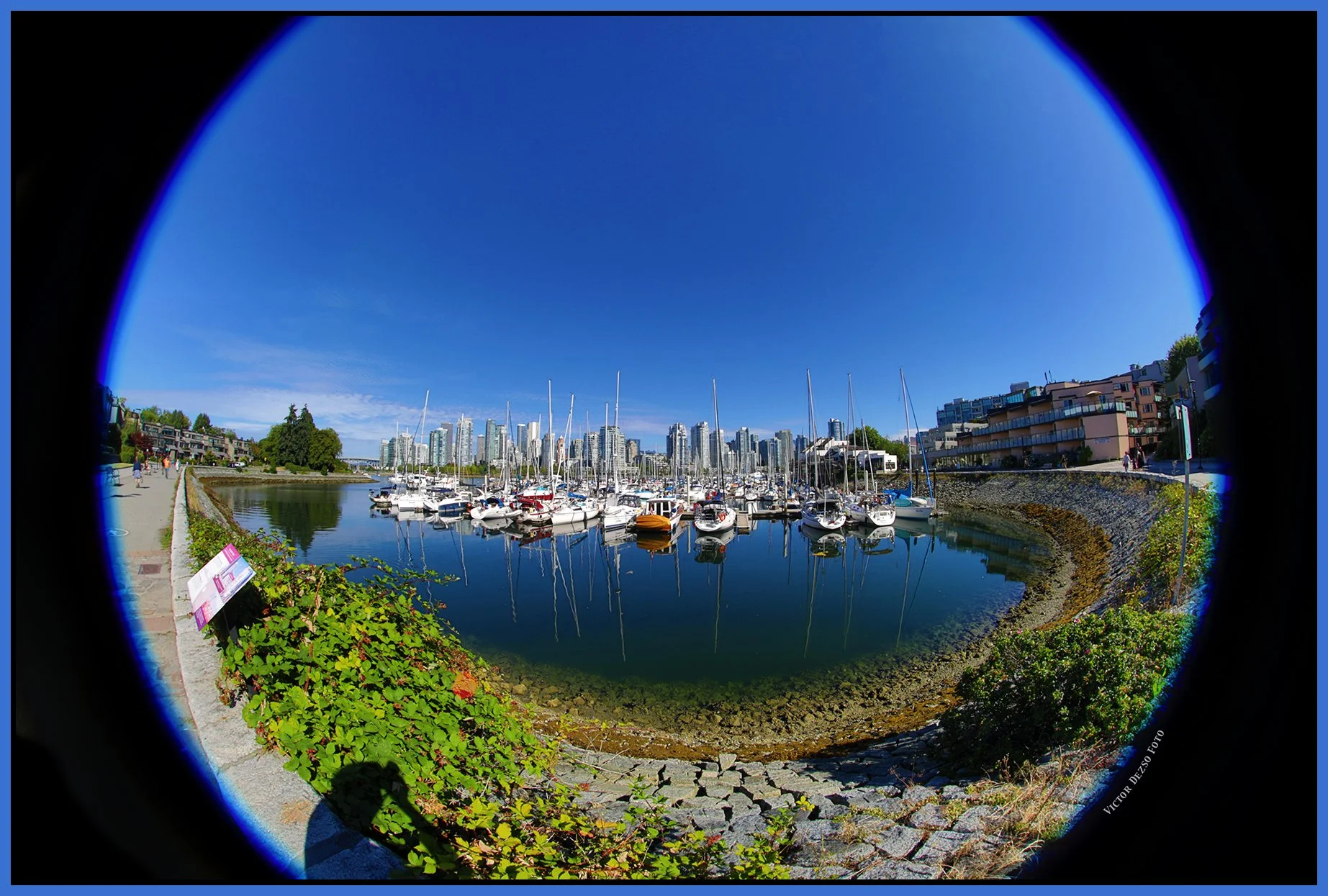 2 View False Creek_Jul 31_2026_HDR_4L8232_4x6s.jpg