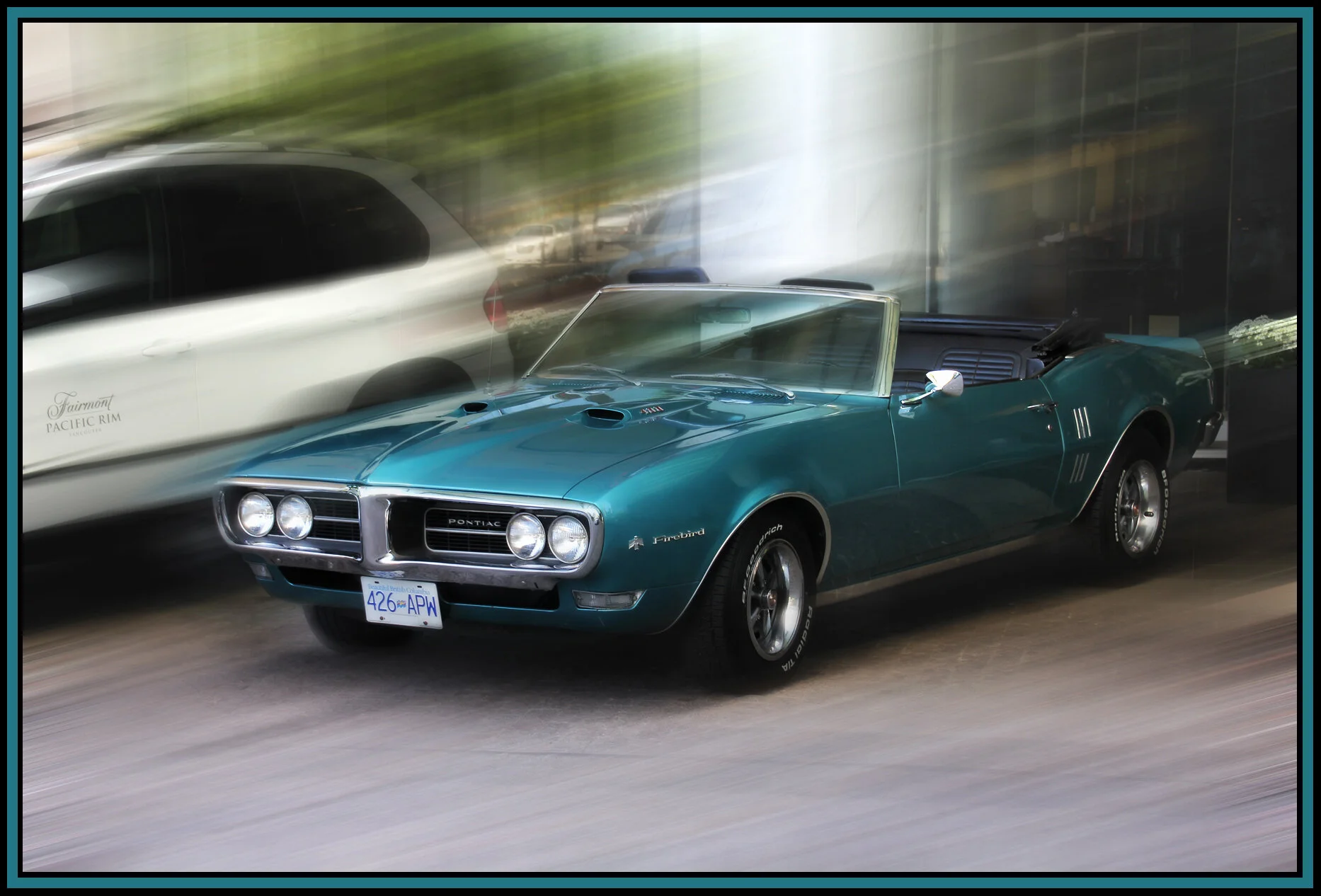 Firebird_Aug 8_2011_7232_1v_4x6s.jpg