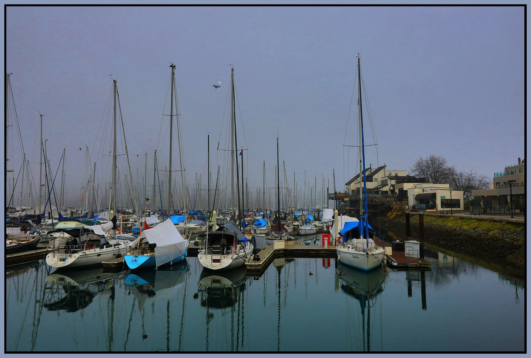 2 View False Creek Fog_Nov 26_2023_HDR_5E0641_peWater_4x6s.jpg
