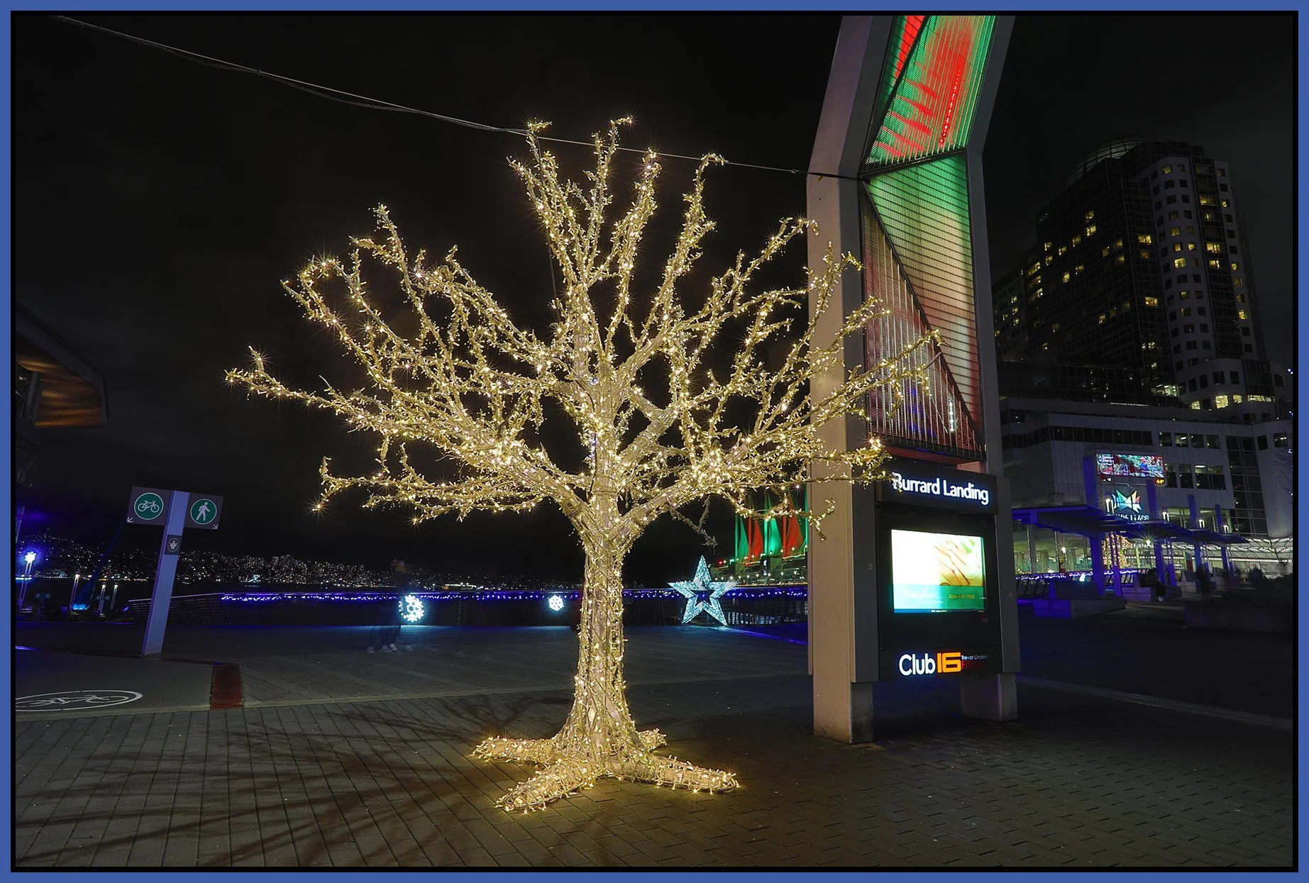 Burrard Landing Tree_Dec 29_2024_HDR_4J5131_4x6s.jpg