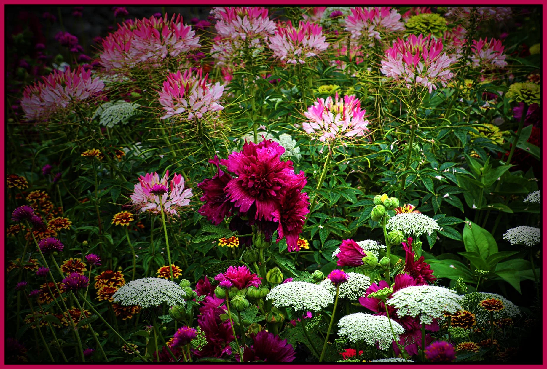 Flowers_Aug 14_2024_HDR_5E8286_peIntenseDetl_4x6s.jpg