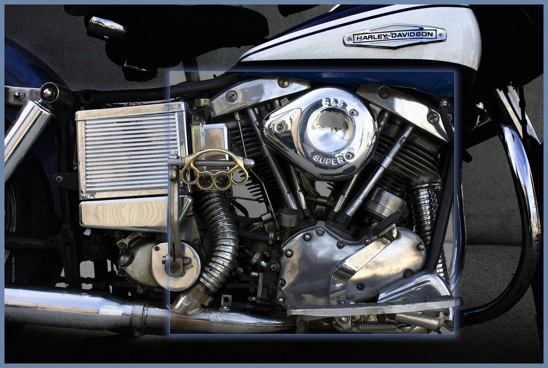Harley-Oct 26_2008_7462_1_4x6s.jpg