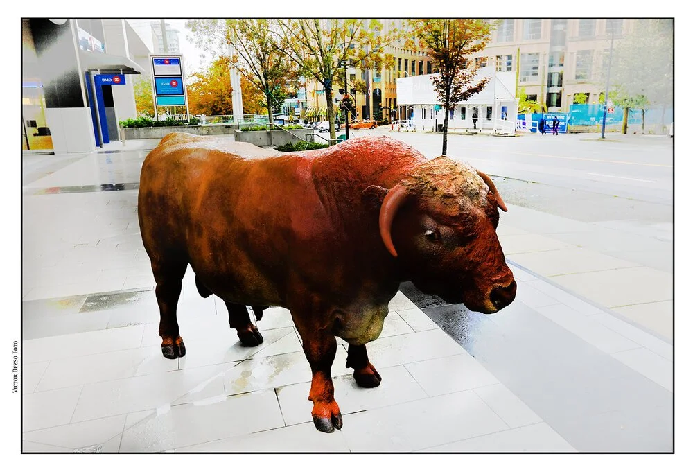 Bull+on+Georgia+St_Sep+23_2018_HDR_D0828_peVVf001_4x6s.jpg