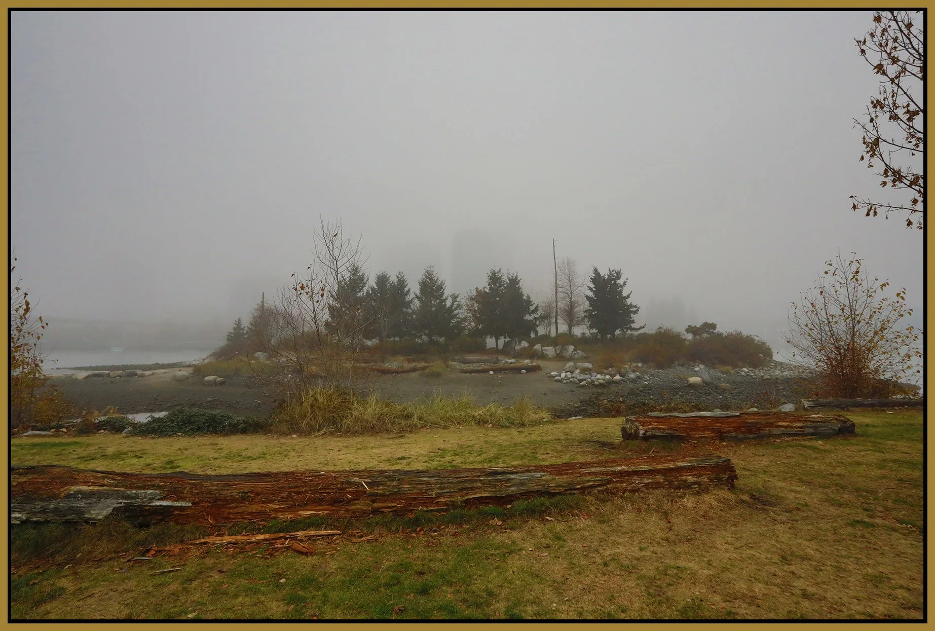 3.6 View in Fog_Nov 16_2022_HDR_5C6358_4x6s.jpg