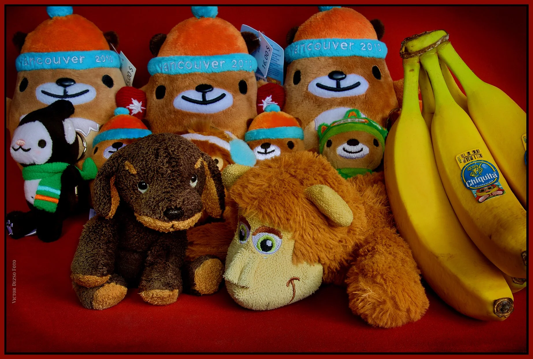 Monkey & Friends_Feb 16_2025_HDR_4J5655_peCs_4x6s.jpg