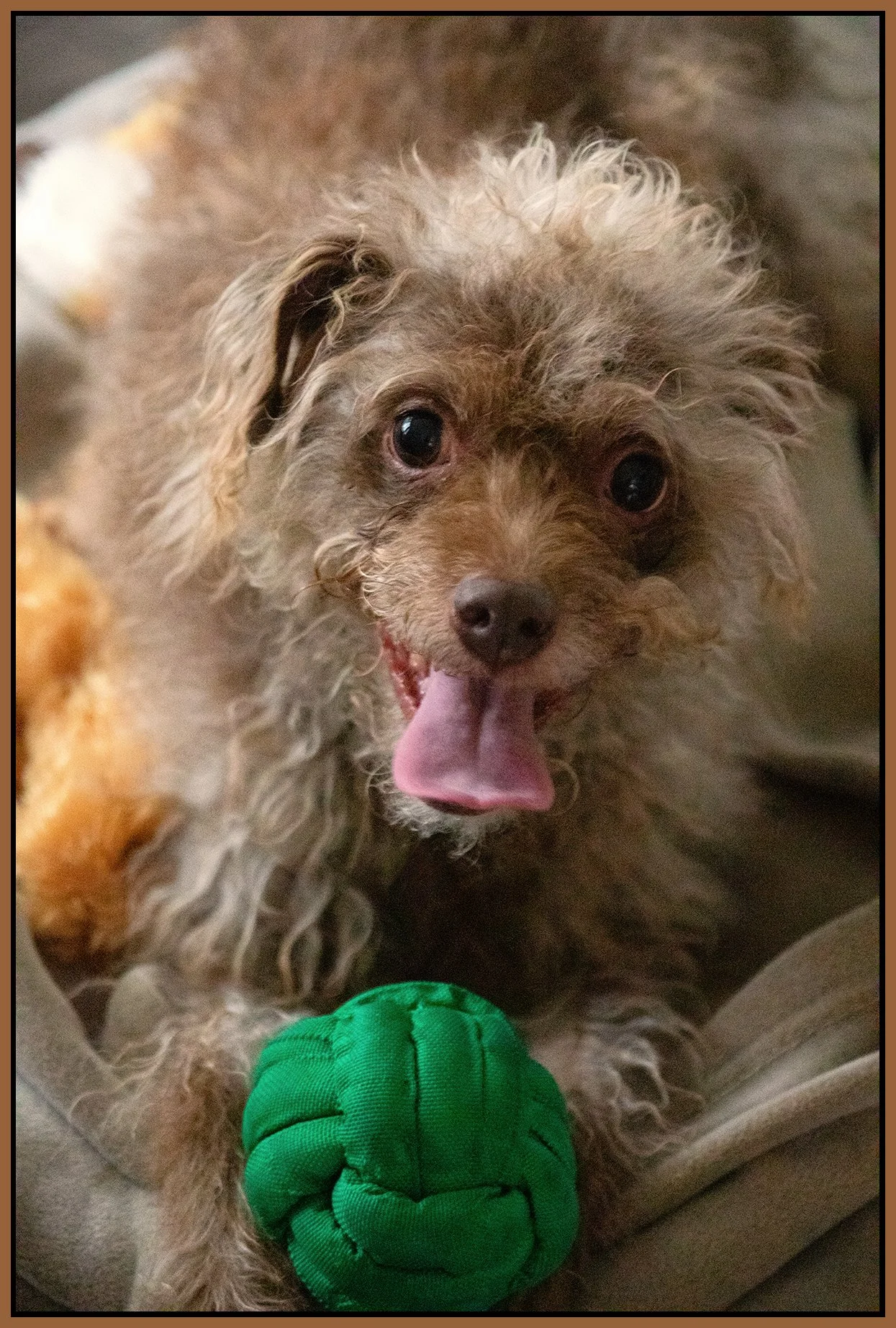 Frances_Dec 26_2024_CR2_4J4773_peHyprstrip_4x6s.jpg