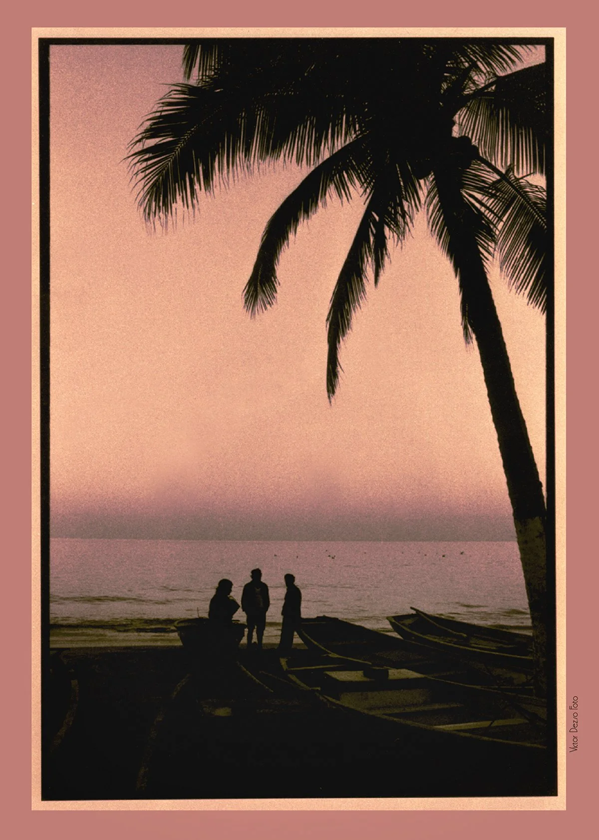 Peurto Vaillarta Trees_1_4x6s.jpg