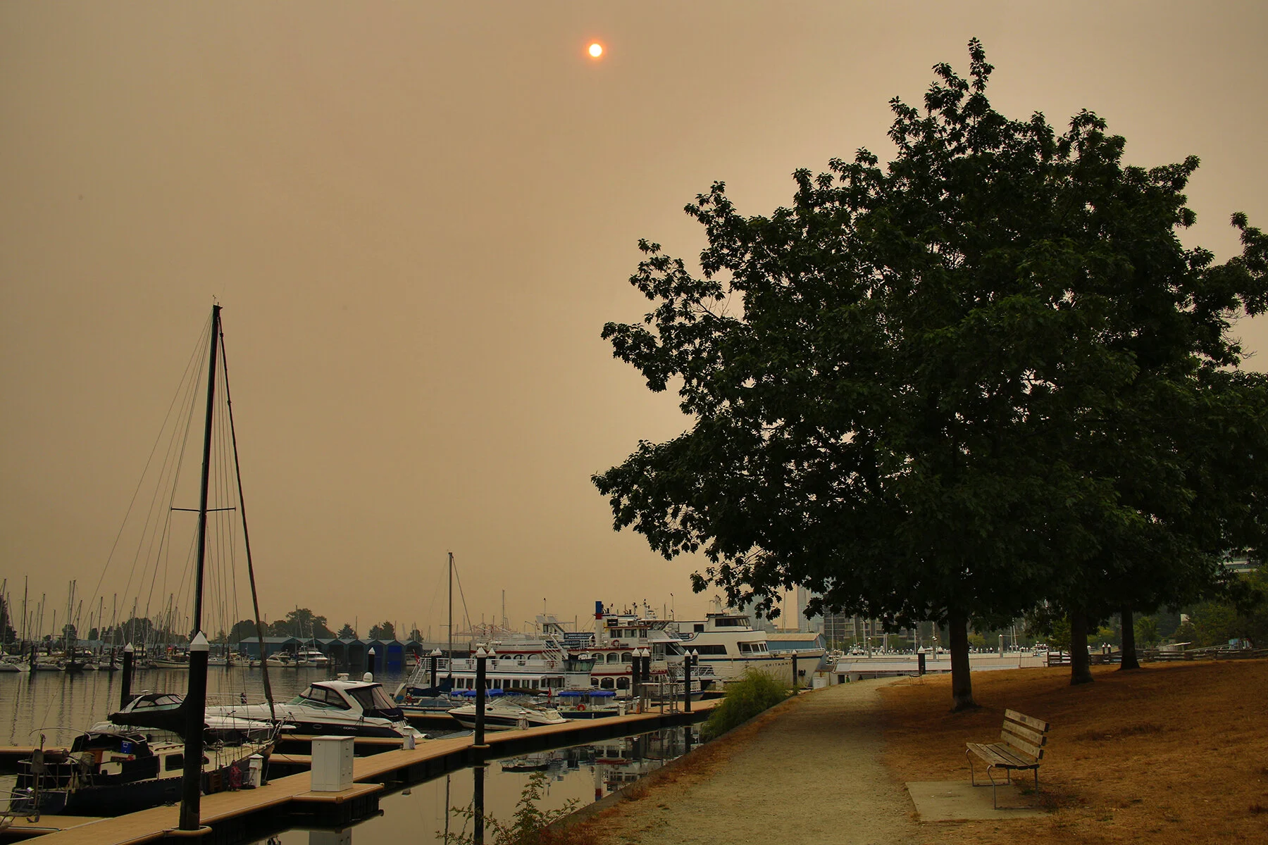 Coal Harbour Boats_Aug 19_2018_HDR_A7220_4x6.jpg