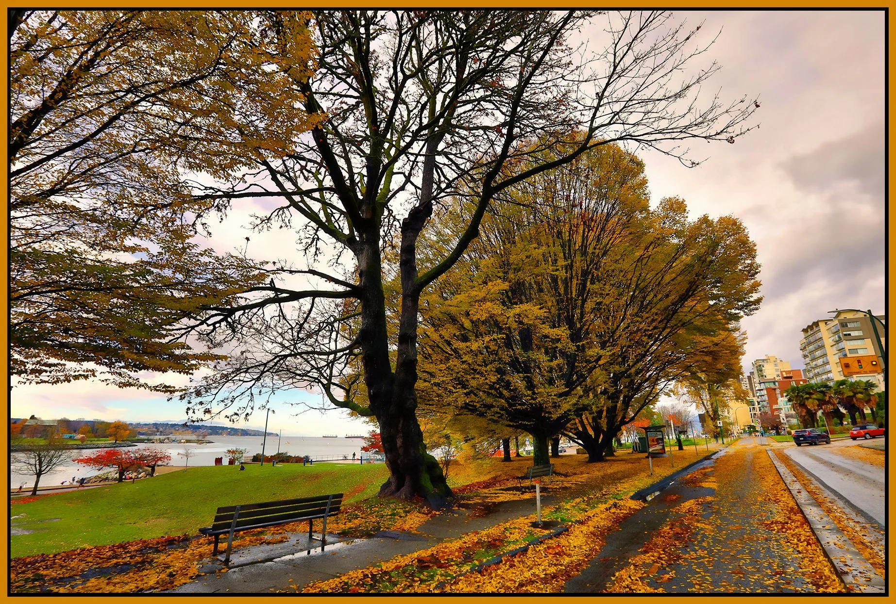 Beach Ave Trees LkgSW_Nov 12_2023_HDR_5C9440_peHyperstrip_ShdngCntrst_4x6s.jpg