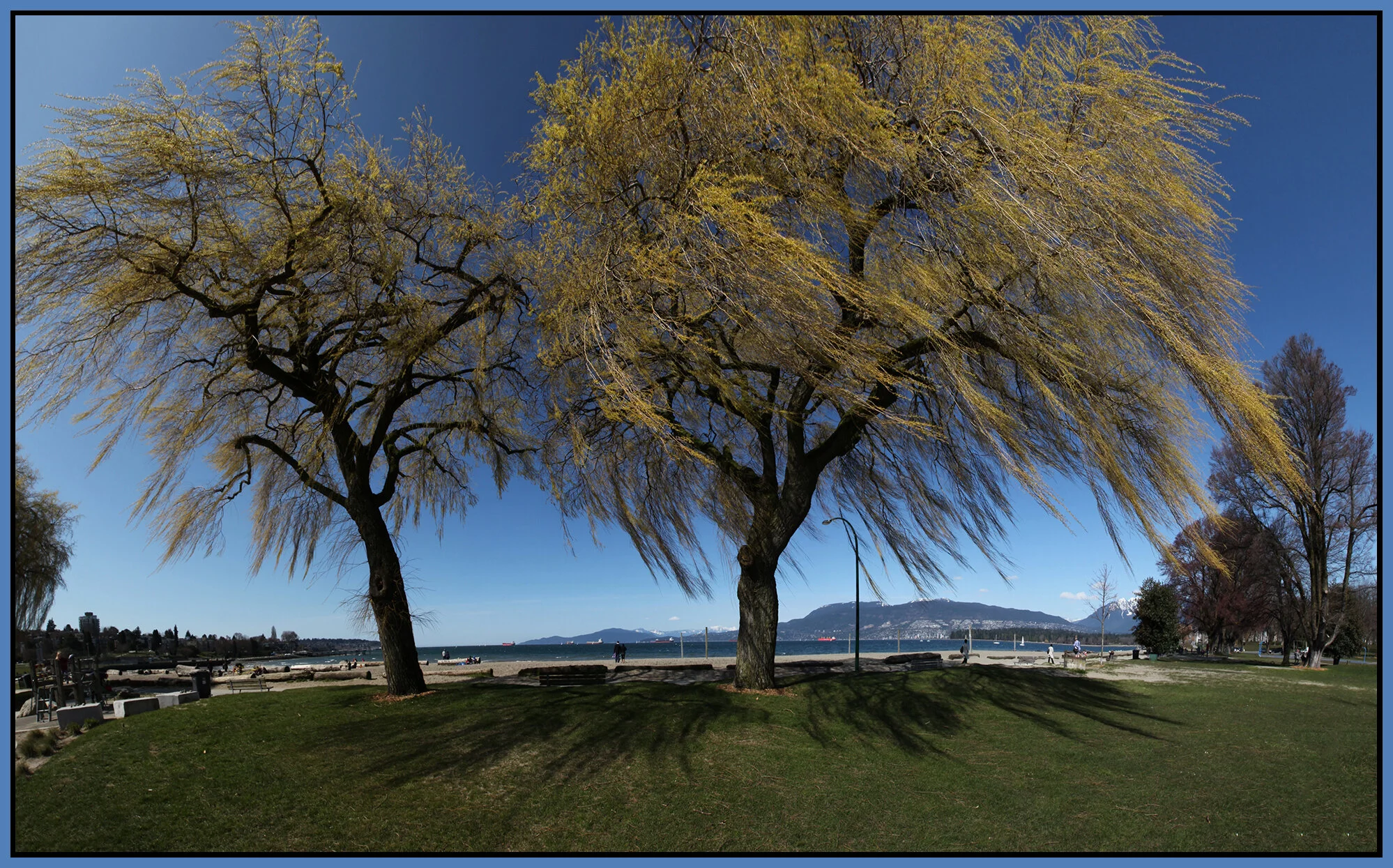 Kits Beach_Mar 25_2012_Pan_1050_1_4x6s.jpg