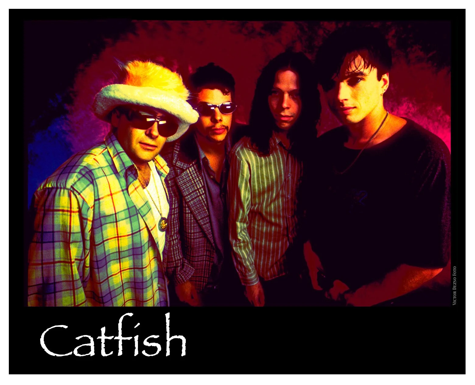 Cat Fish_4x5.jpg