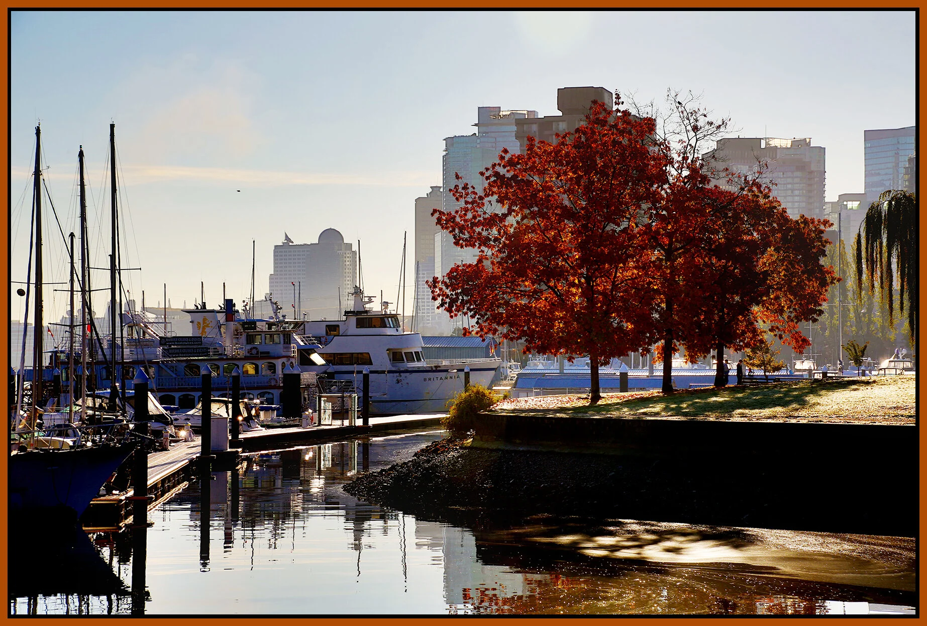 Vancouver Stanley Pk Tree_Oct 17_2018_HDR_A9634_4x6s.jpg