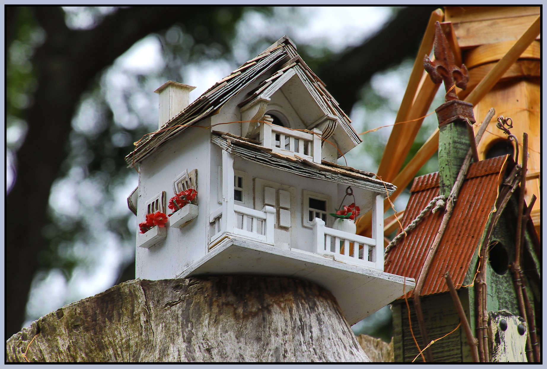 580 Heatley Tree House_Aug 14_2025_HDR_4K1056_4x6s.jpg