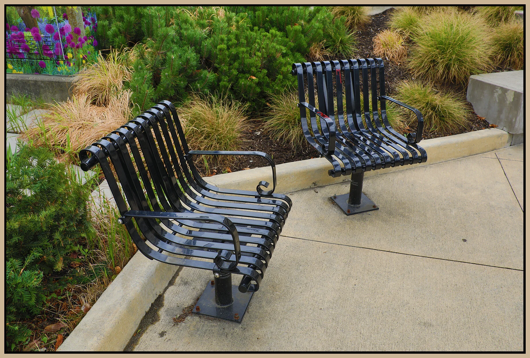 Benches in New West_Aug 12_2018_HDR_D1787_4x6s.jpg