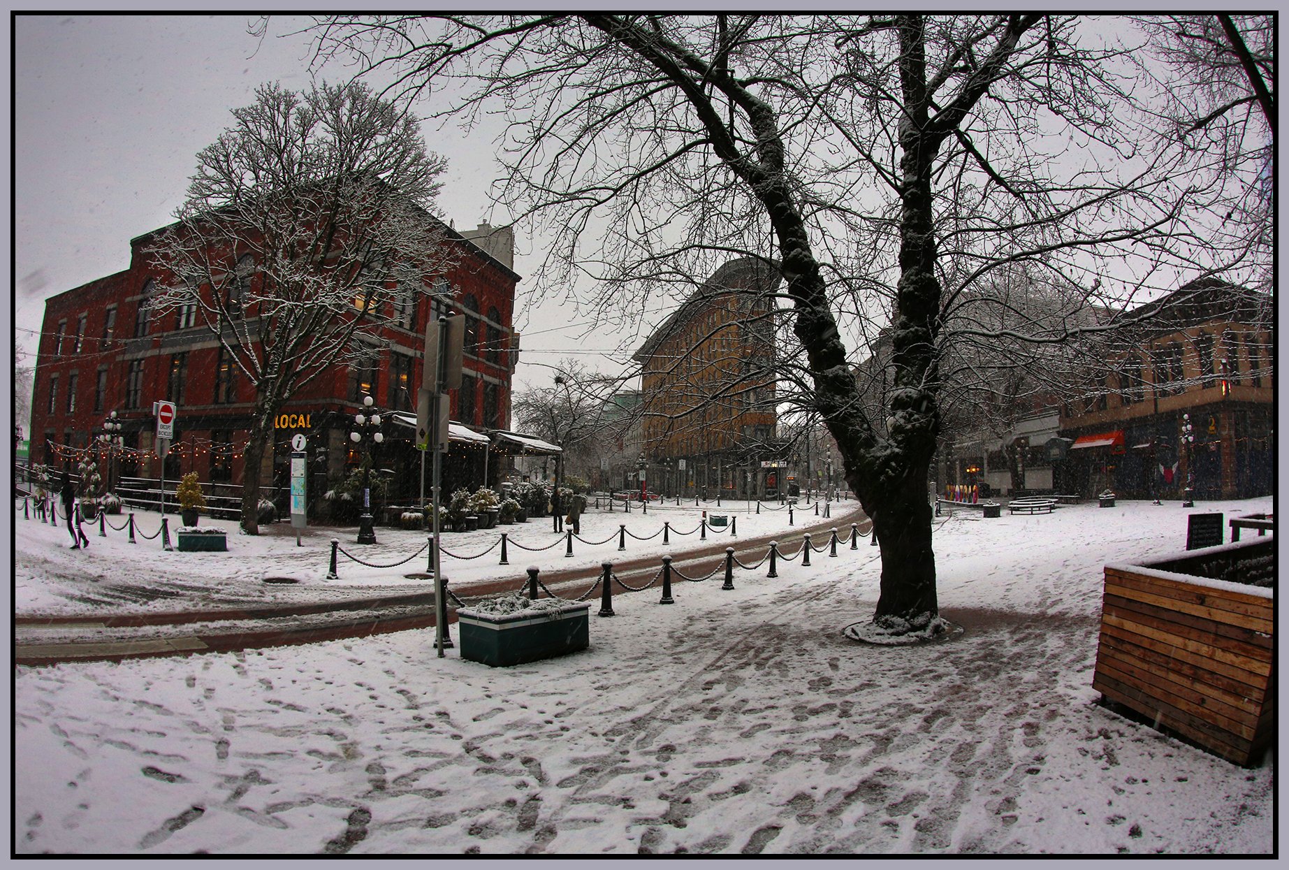 Gastown Maple Tree Sq LkgE_Feb 2_2025_HDR_3B9821_4x6s.jpg