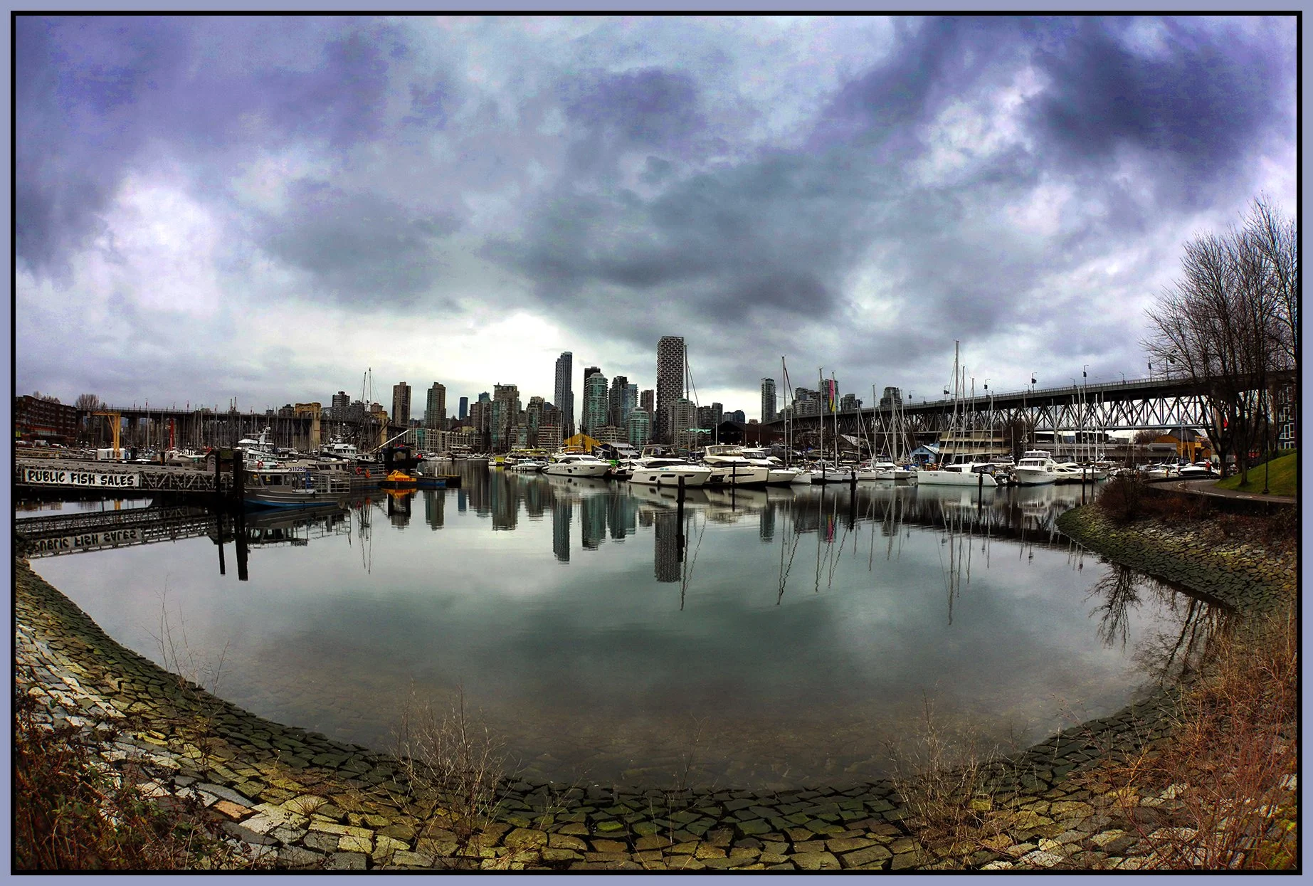 Vancouver from Creekside_Jan 19_2022_HDR_4G6156_peDdL_4x6s.jpg