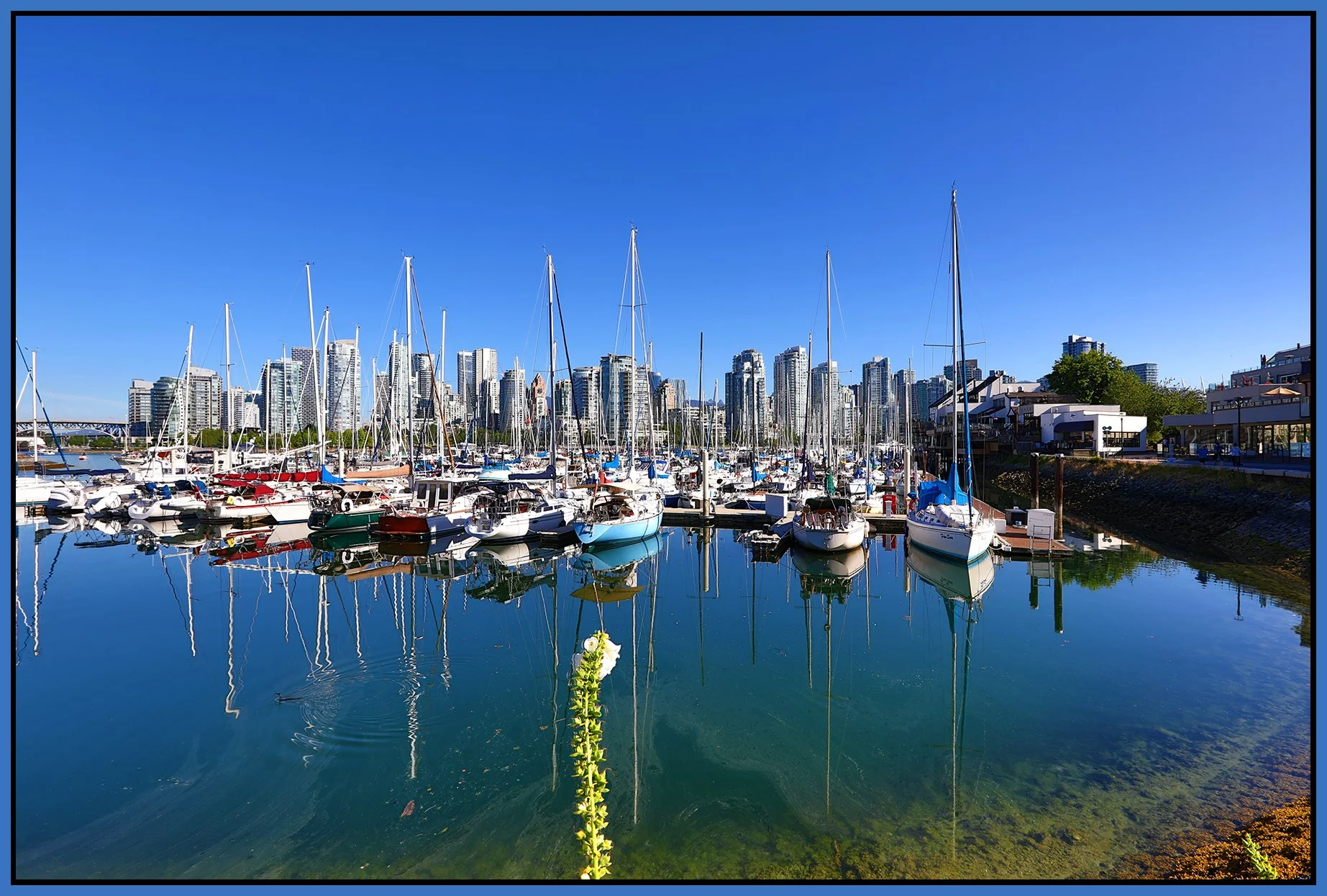2 View Millbank False Creek_Jul 1_2025_HDR_4J7657_4x6s.jpg