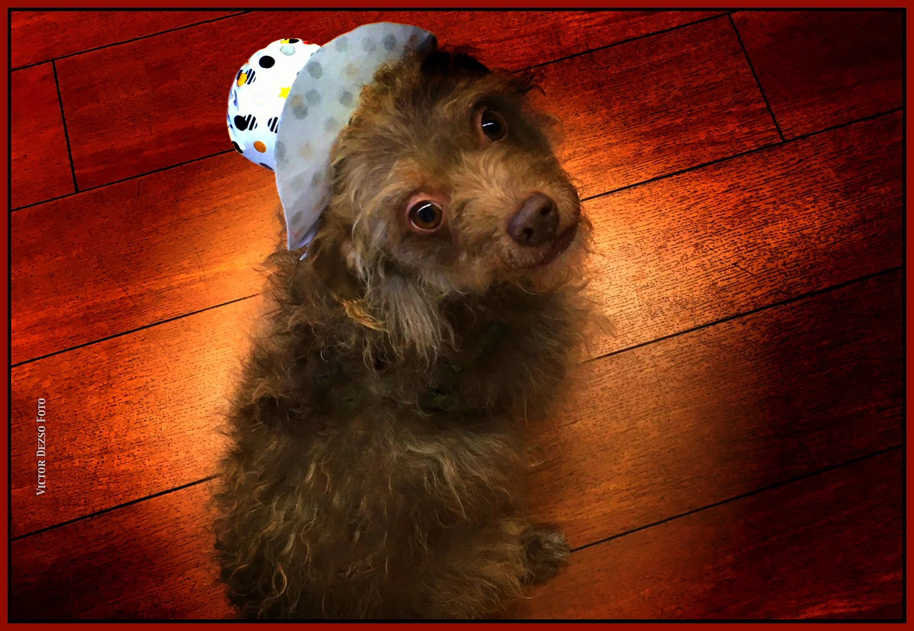 Frances with Cowboy Hat_Nov 23_2023_2762_peDecRadinVig_Water_4x6s.jpg