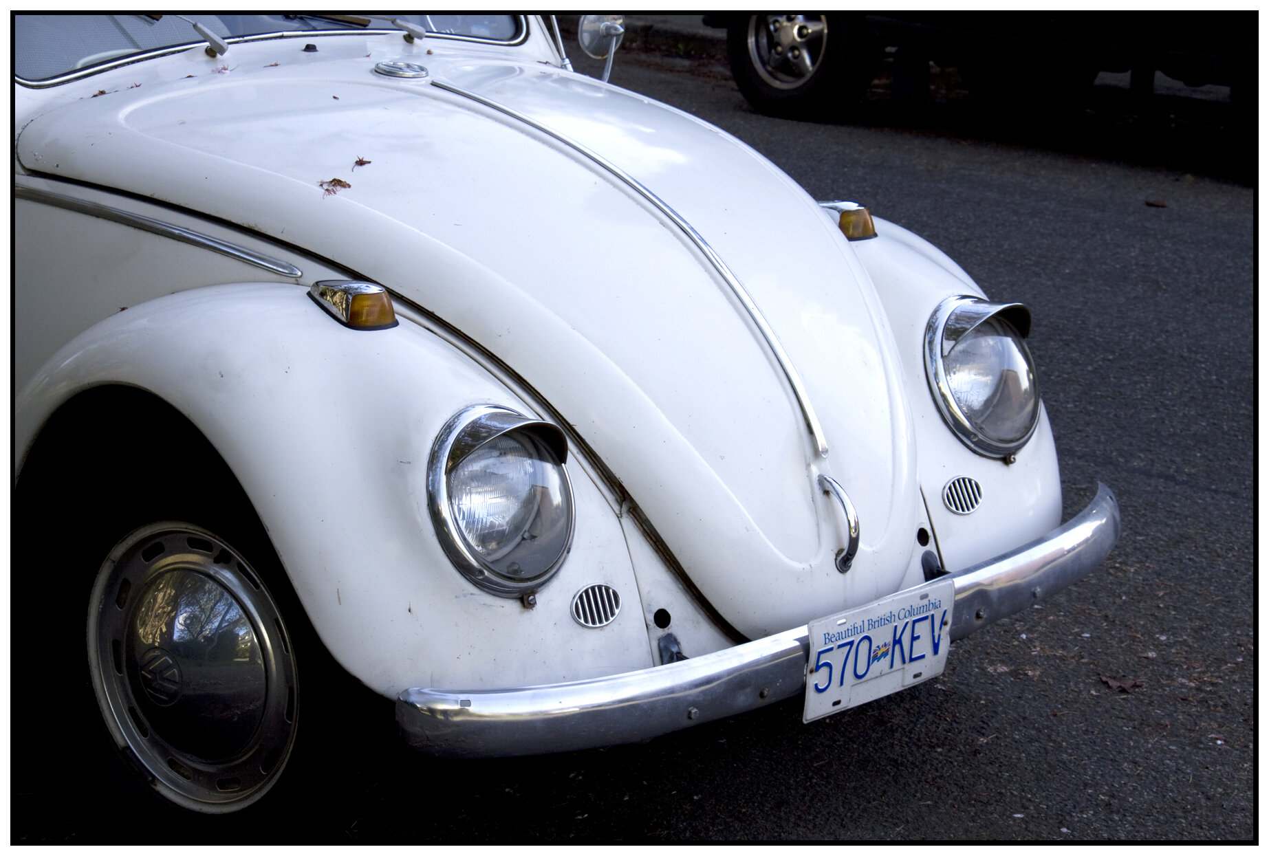 VW Bug_Apr 28_2010_3882_4x6s.jpg