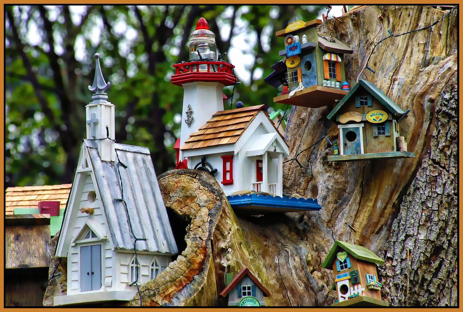 580 Heatley St Tree Houses_May 19_2024_HDR_5E5183_peShdngCntrst_4x6s.jpg