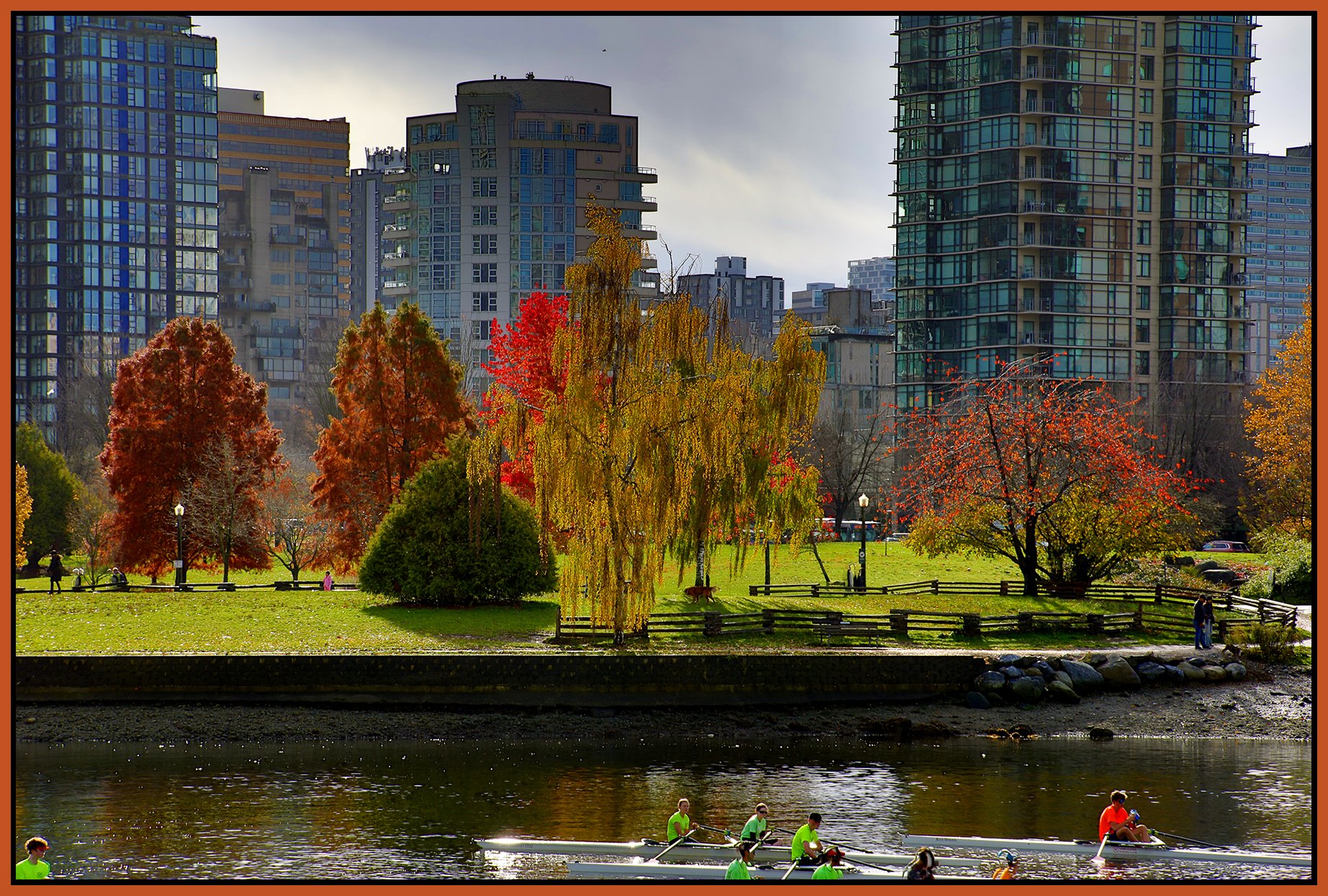 Stanley Park Fall leaves_Nov 12_2023_HDR_4H9021_4x6s.jpg